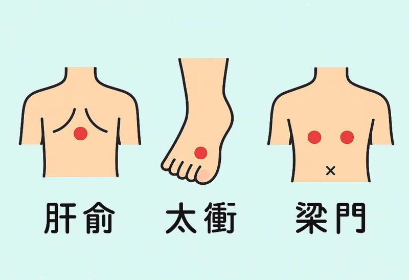 肝臓に効くツボ3選:肝兪・大衝・梁門